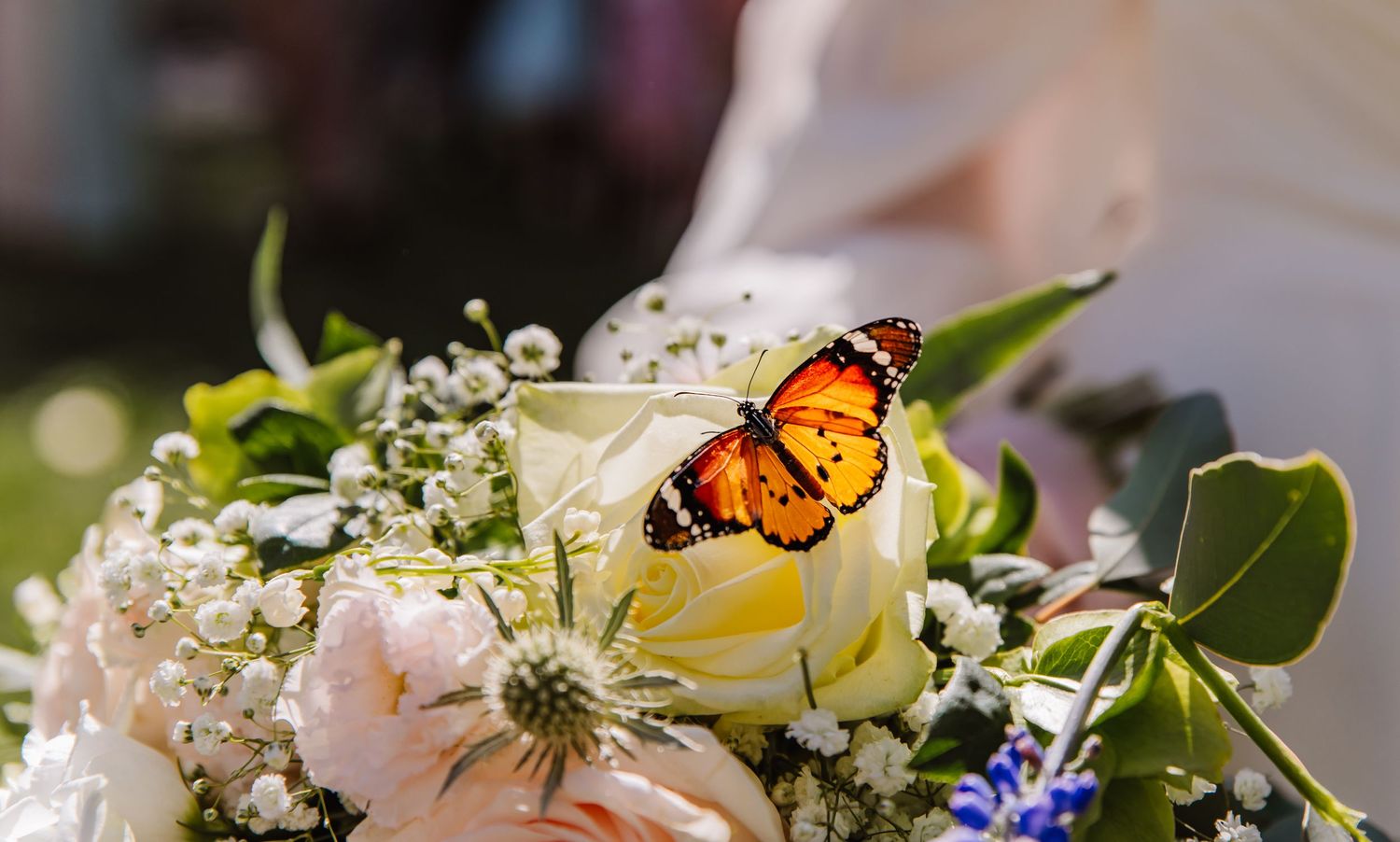 Candid wedding photography The Alverbank, Gosport, Portsmouth, Hampshire. Hampshire wedding venue. Sea view wedding. Butterflies at wedding