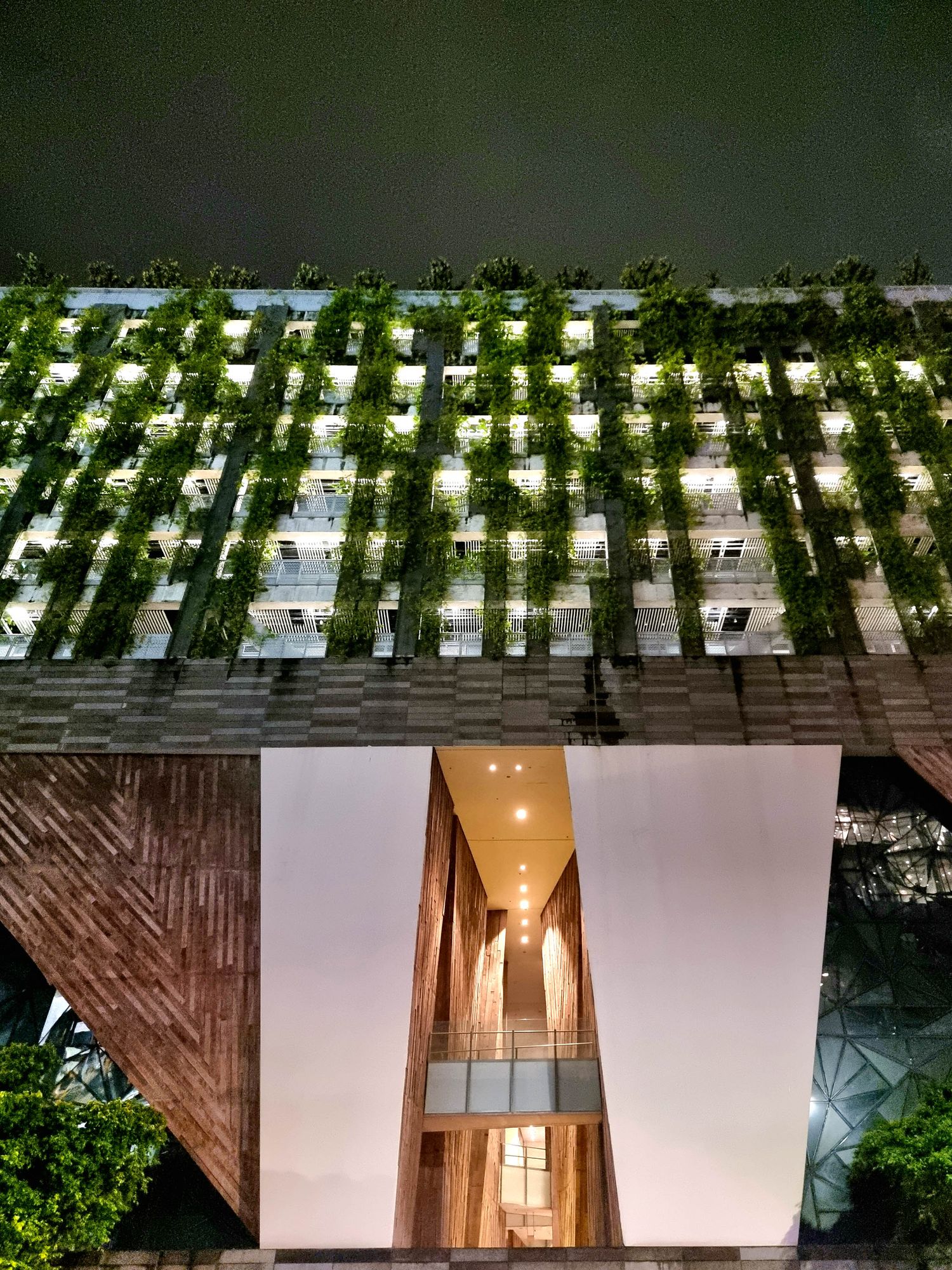 Contemporary building facade with vertical garden illuminated at night creating a dramatic pattern.