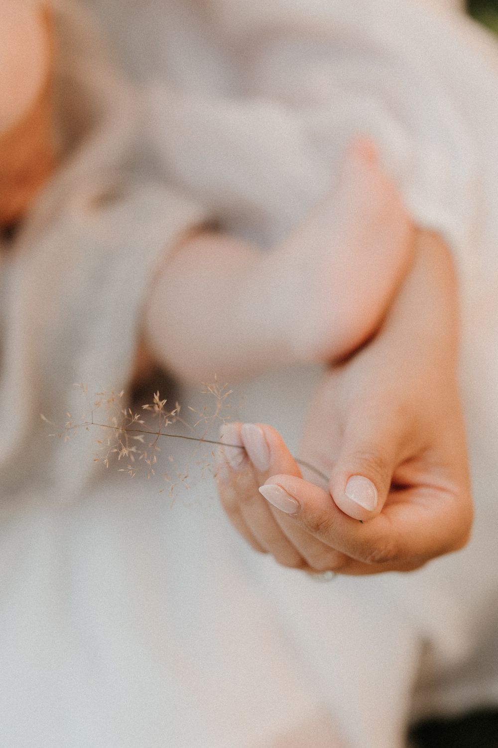 A close-up of a woman's hand gently holding a delicate dried wildflower stem, wearing a soft white dress.