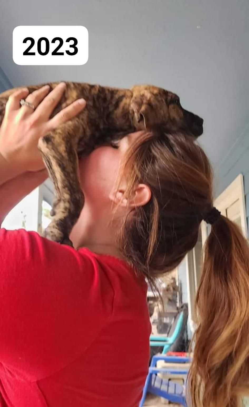 Dog receiving affectionate cuddles while wearing a red collar.