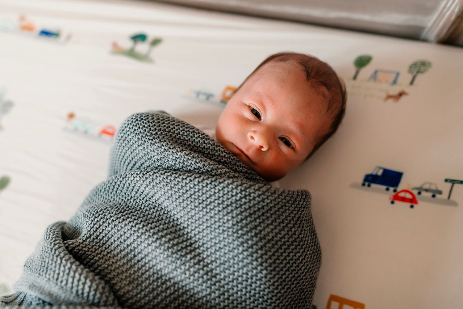 Ann Arbor Newborn Photographer