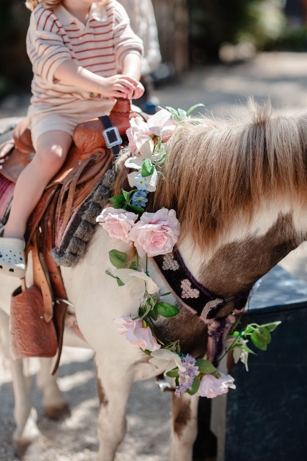 Montecito Event Photographer Meg Sandu
