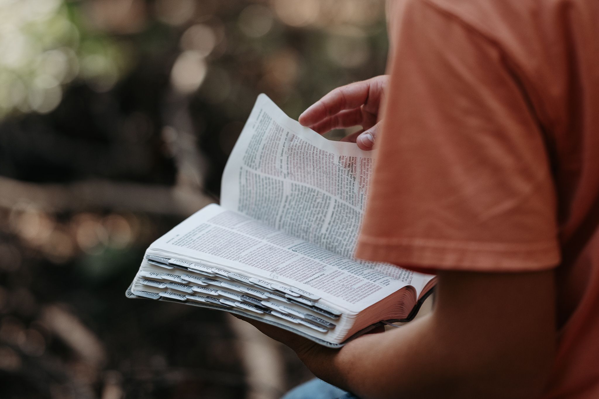 A person's hands hold an open book against a blurred outdoor background in warm lighting.