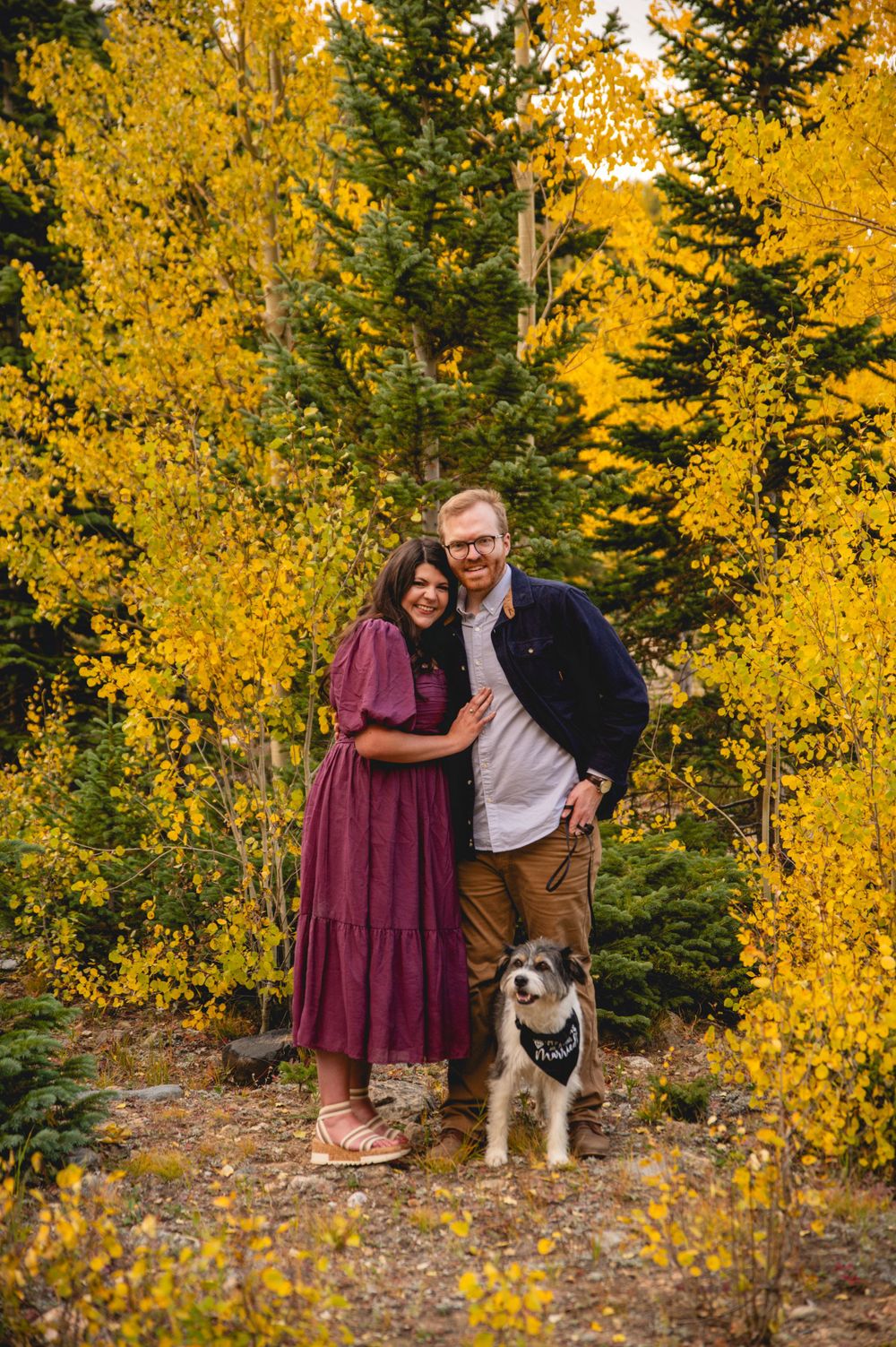 Couple and their dog pose together against vibrant yellow fall foliage in mountain setting.