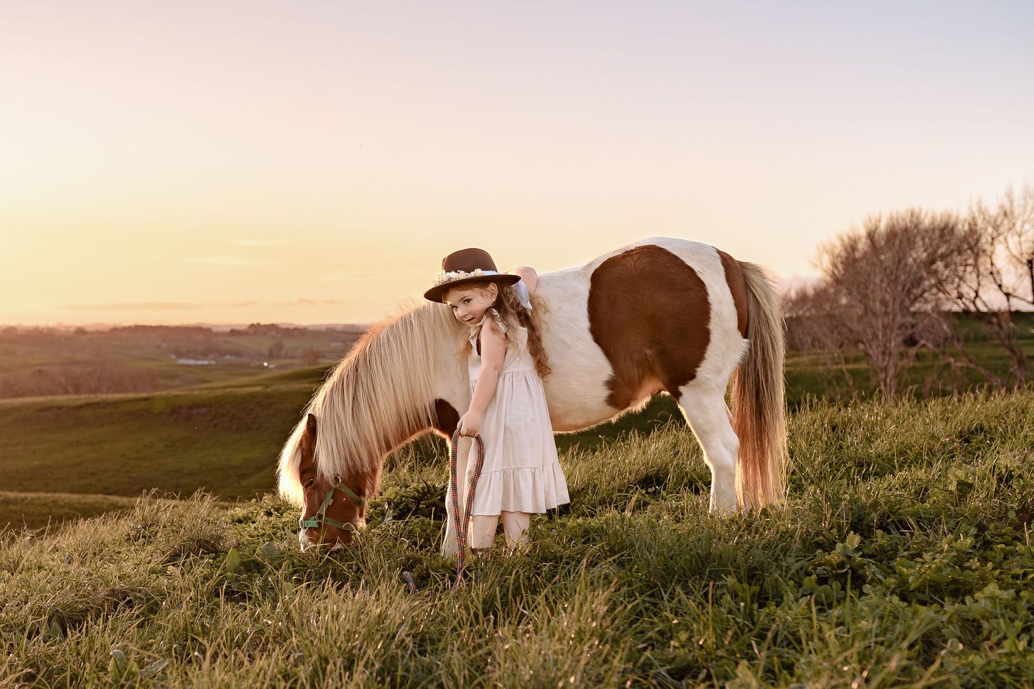 A dreamy sunset scene with a horse and flowing dress in a pastoral setting.