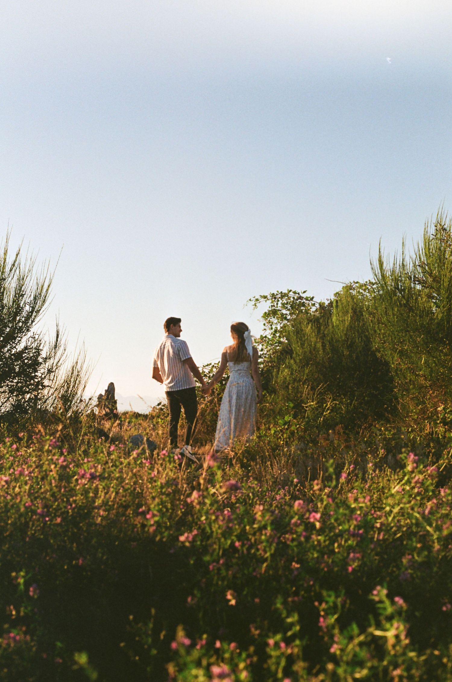 Couple walking through a wildflower meadow at golden hour.