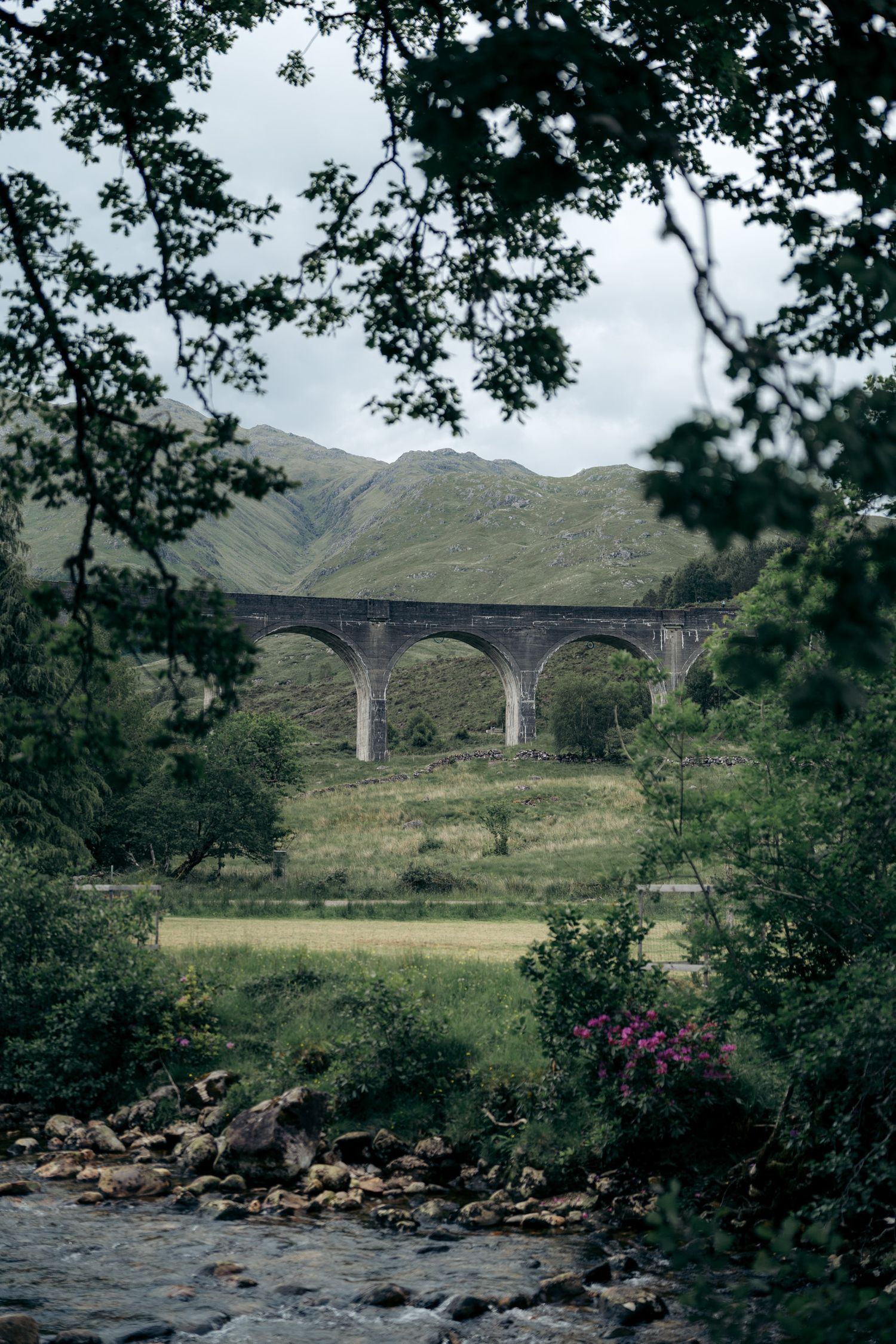 glenfinnan viaduct entre les feuilles, en écosse