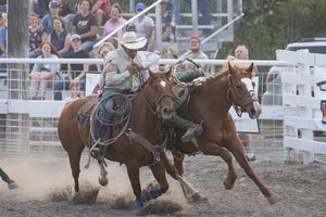Two cowboys on horseback compete in a team roping event at a dusty outdoor rodeo arena with spectators watching.
