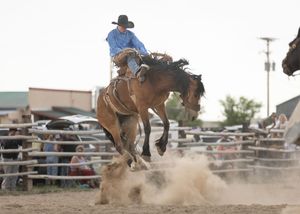 A cowboy rides a bucking brown horse at a rodeo competition, kicking up dust in a dirt arena with spectators watching.