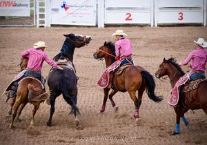 Group of pickup men horseback at a rodeo.