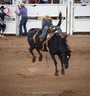 A rider on a black horse demonstrates skilled bronc riding at a rodeo competition.