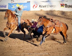 Action shot of rodeo steer wrestling competition with horses and cowboys in dusty arena.