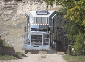Large livestock trailer with 'Desperado' text parked near a rocky cliff face.
