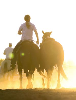 Silhouette of riders on horseback at sunset creating dramatic golden lighting.