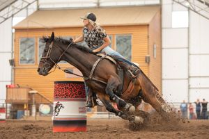 A female barrel racer on a dark brown horse makes a sharp turn around a red leopard-print barrel in an indoor rodeo arena.