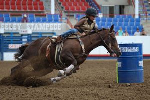 Horse and rider executing a sharp turn around a blue barrel in a rodeo arena.