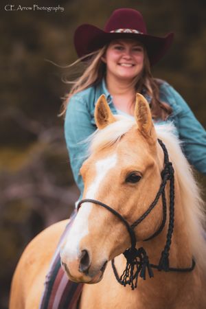 Palomino horse with white blaze wearing black bridle in western riding portrait.