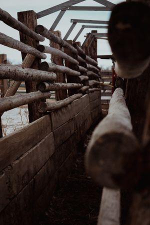 Rustic wooden fence post construction in moody lighting.