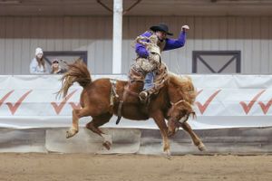 Rodeo bronc rider on bucking horse during indoor competition event.
