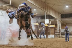 Dramatic rodeo action shot of bronc rider in indoor arena with dust flying.