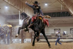 A rodeo rider attempts to stay mounted on a bucking horse during an indoor arena competition.