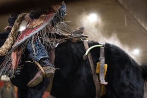 Close-up view of leather chaps and rodeo gear on a black horse in an indoor arena.