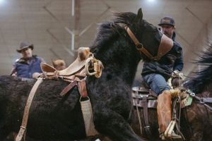 A rider grips tightly to a saddle on a black horse during an indoor rodeo event.