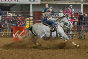 A grey horse and rider perform a tight turn around a barrel in a rodeo competition.