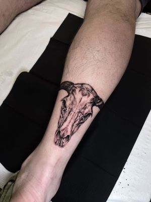 Realistic skull, black and grey.