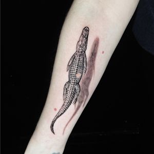 Micro detailed crocodile. Realism.