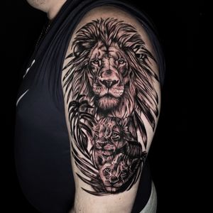 Black and grey lions.