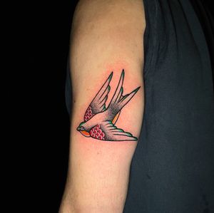 Swallow mixing traditional and dotwork
