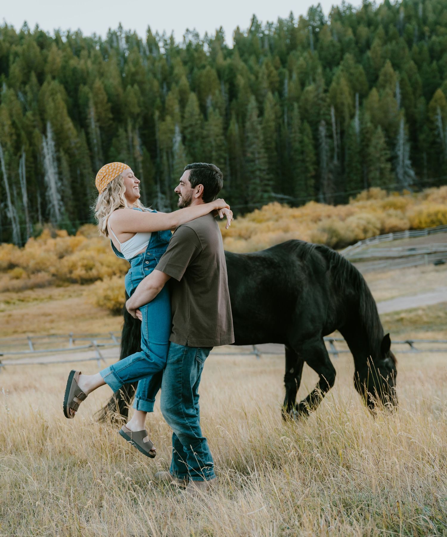 Engaged couple playfully interact next to a large black draft horse in a grassy field with evergreen trees in the background.