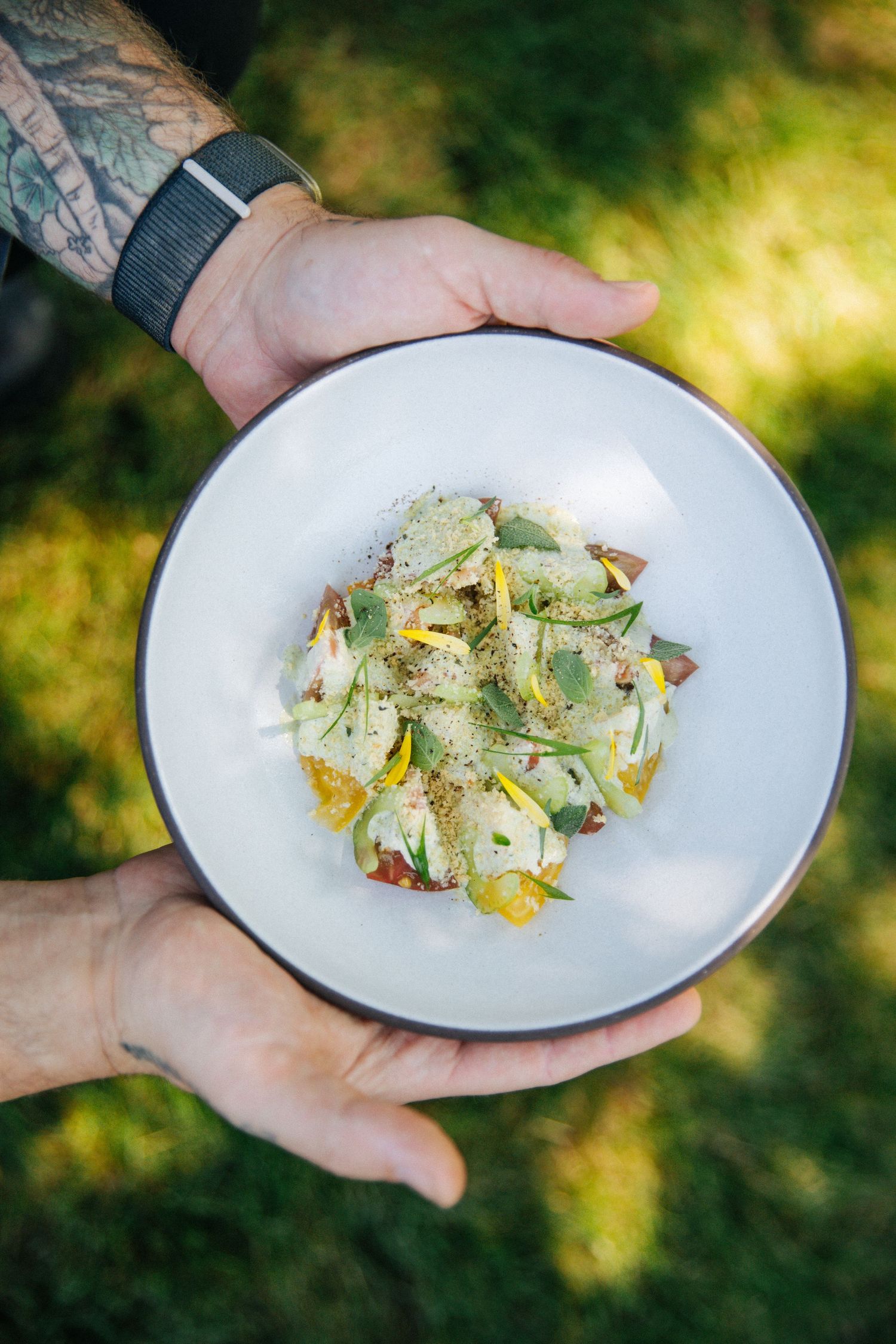 Hands holding a white plate with a fresh cucumber and citrus salad garnished with herbs and spices outdoors.