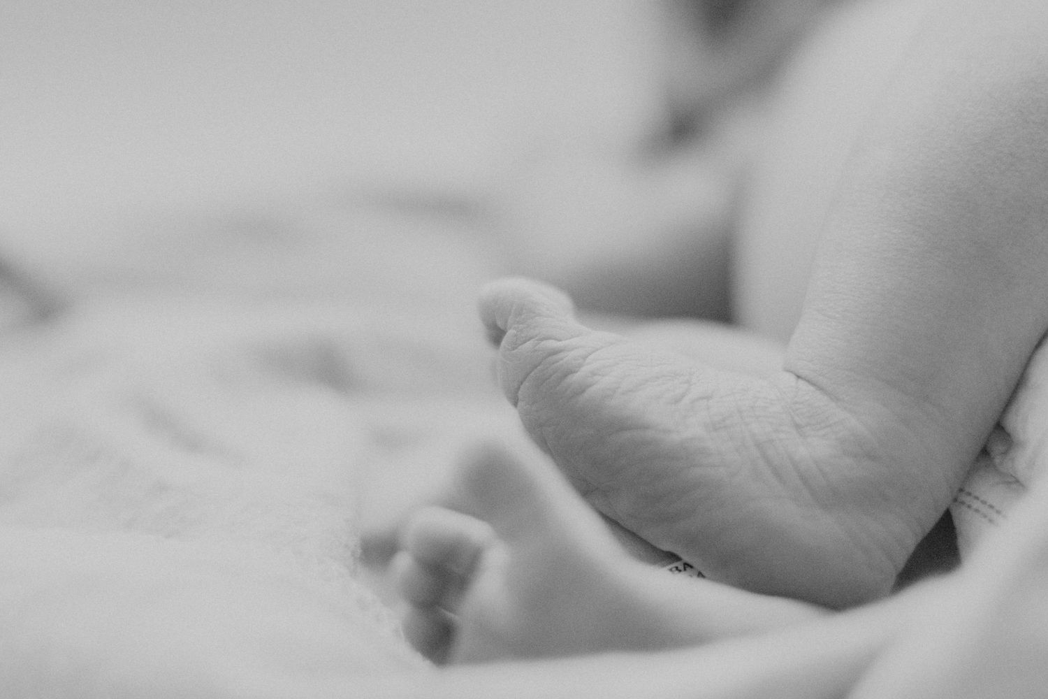 Black and white close-up of a newborn baby's delicate feet on white bedding.