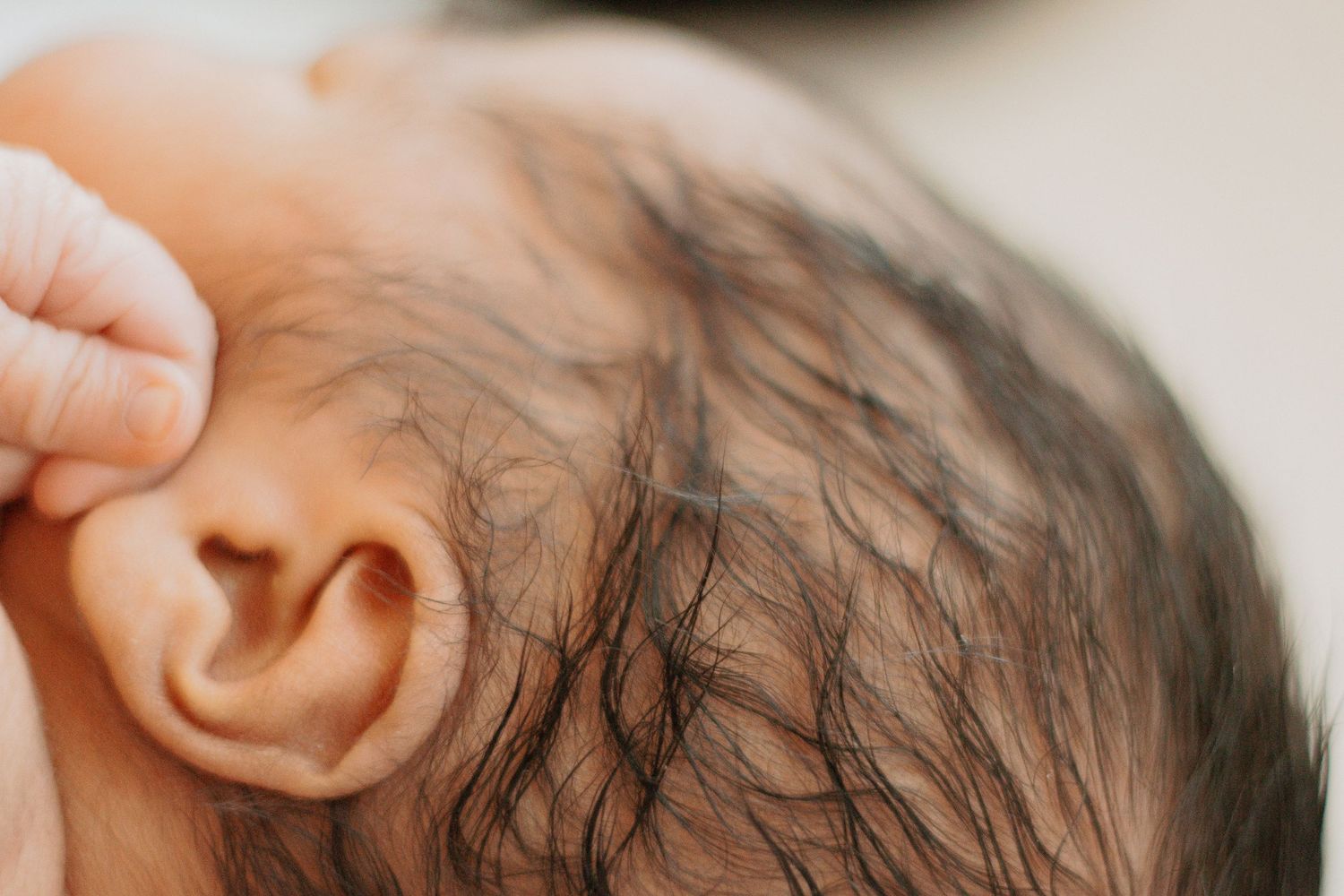 Detailed close-up of a newborn baby's ear and dark wet hair.