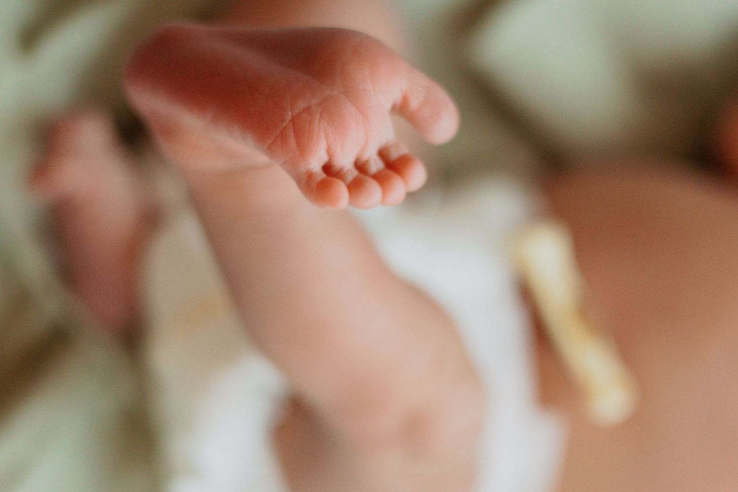 Soft focus image of tiny newborn baby feet against a blurred background.