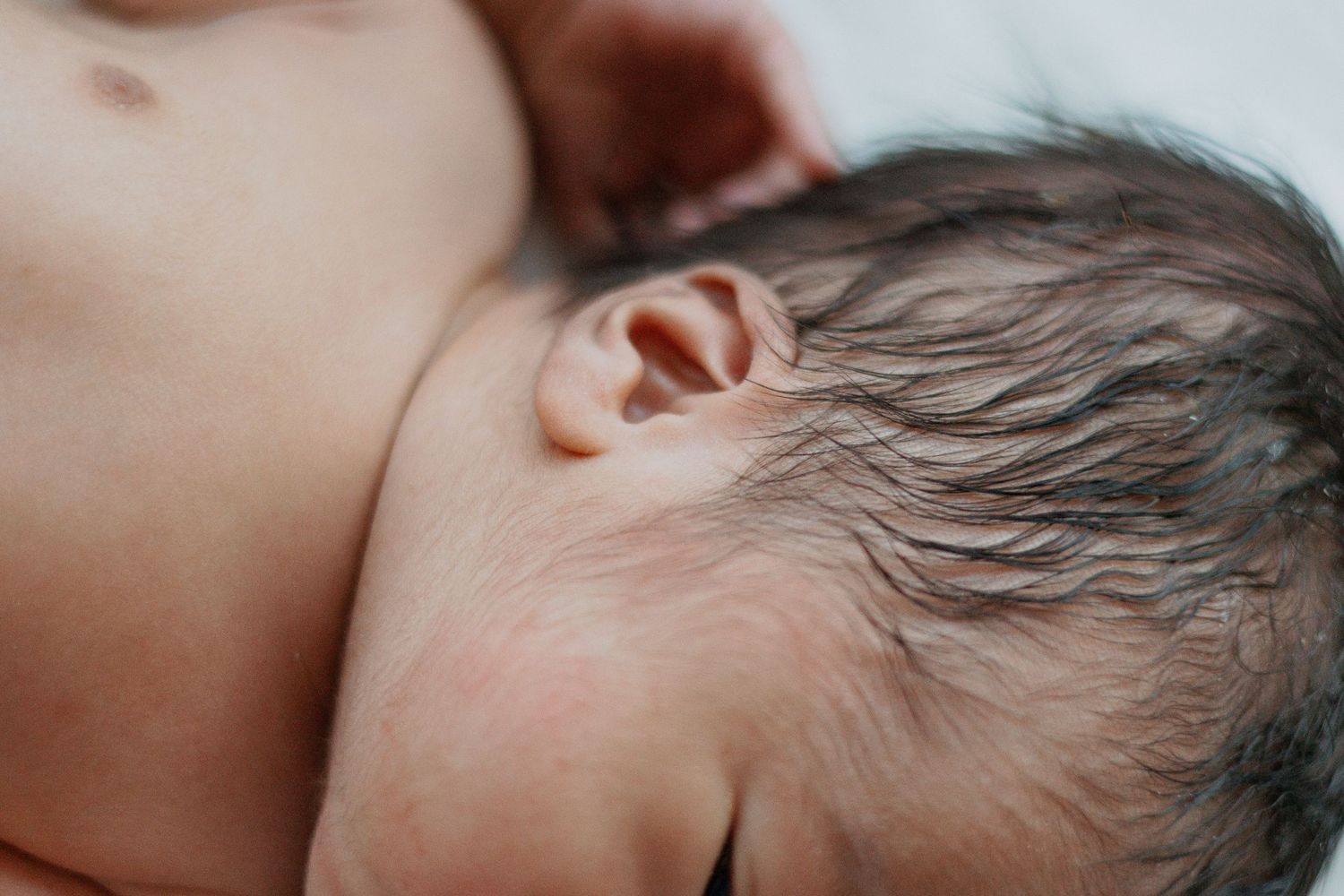 Close up detail of newborn baby's ear and soft dark hair.