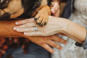 Close-up of hands showing engagement ring in natural outdoor lighting.