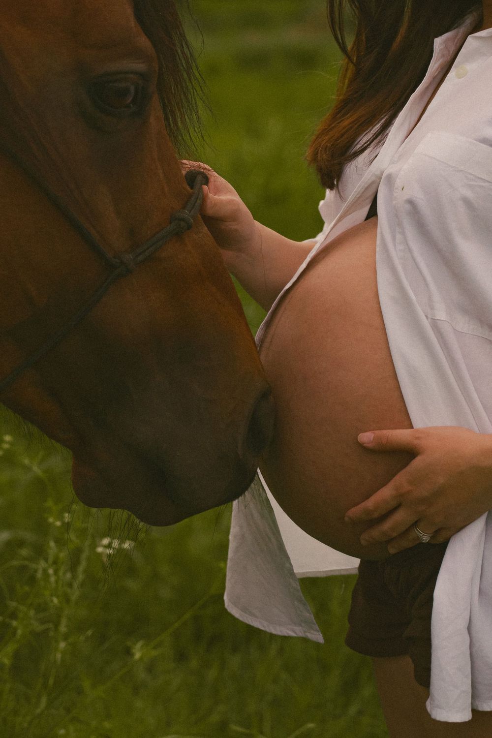 Pregnant woman in white shirt tenderly touches a brown horse nose in a green field.