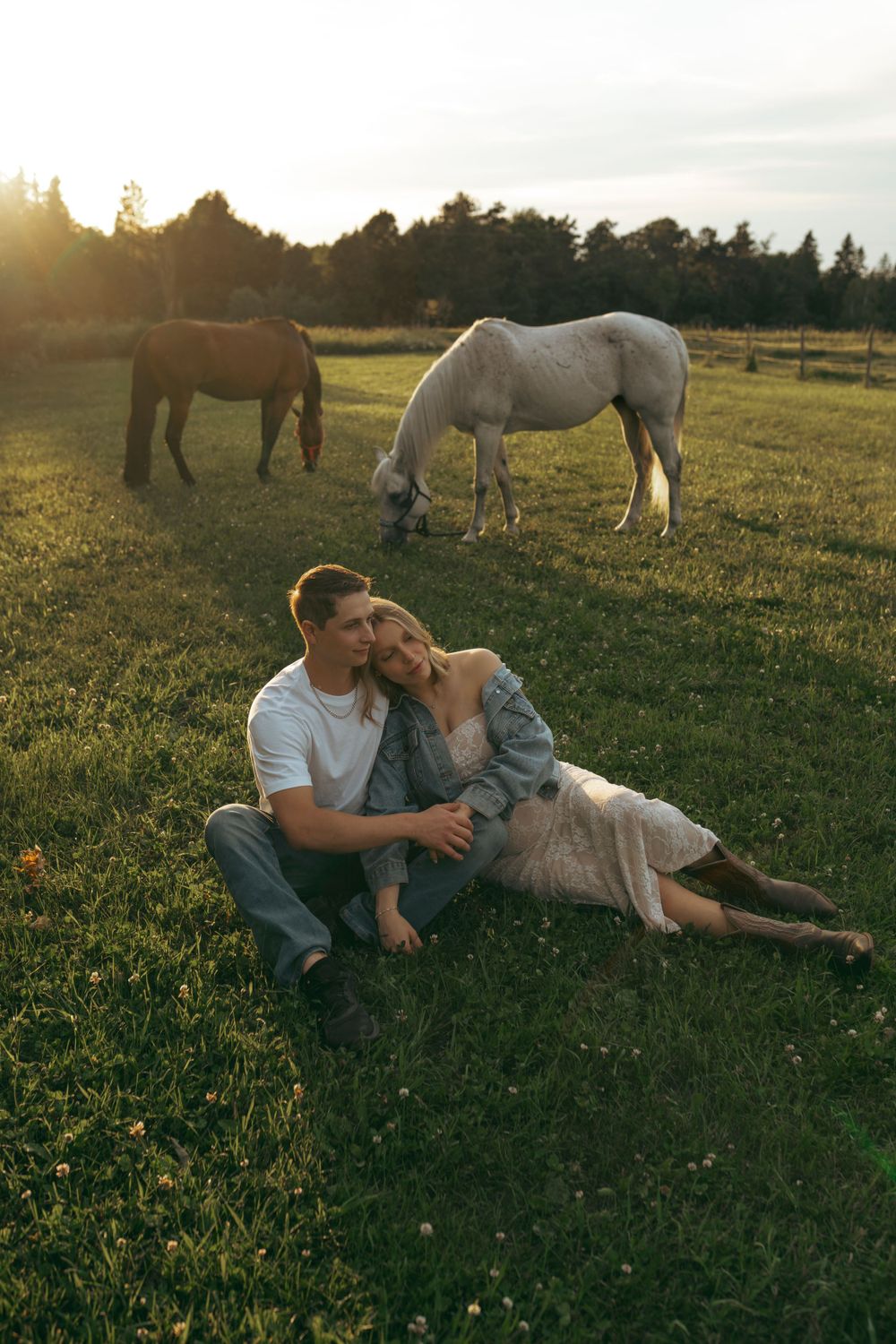 A romantic sunset moment in a field with grazing horses in the background.