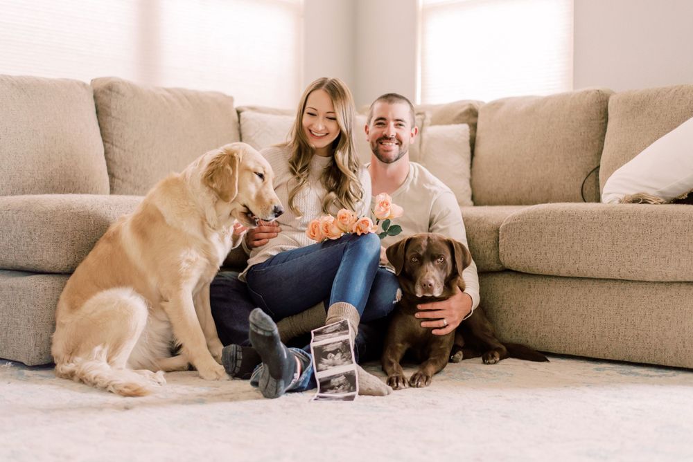 Pregnancy reveal captured in a home setting, with a couple and their two dogs surrounded by roses in Columbia, MO.