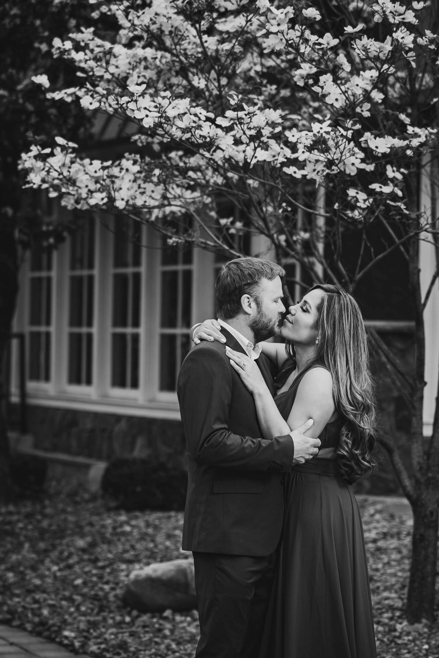 Black and white photo of couple sharing a kiss under blooming dogwood tree in garden setting.