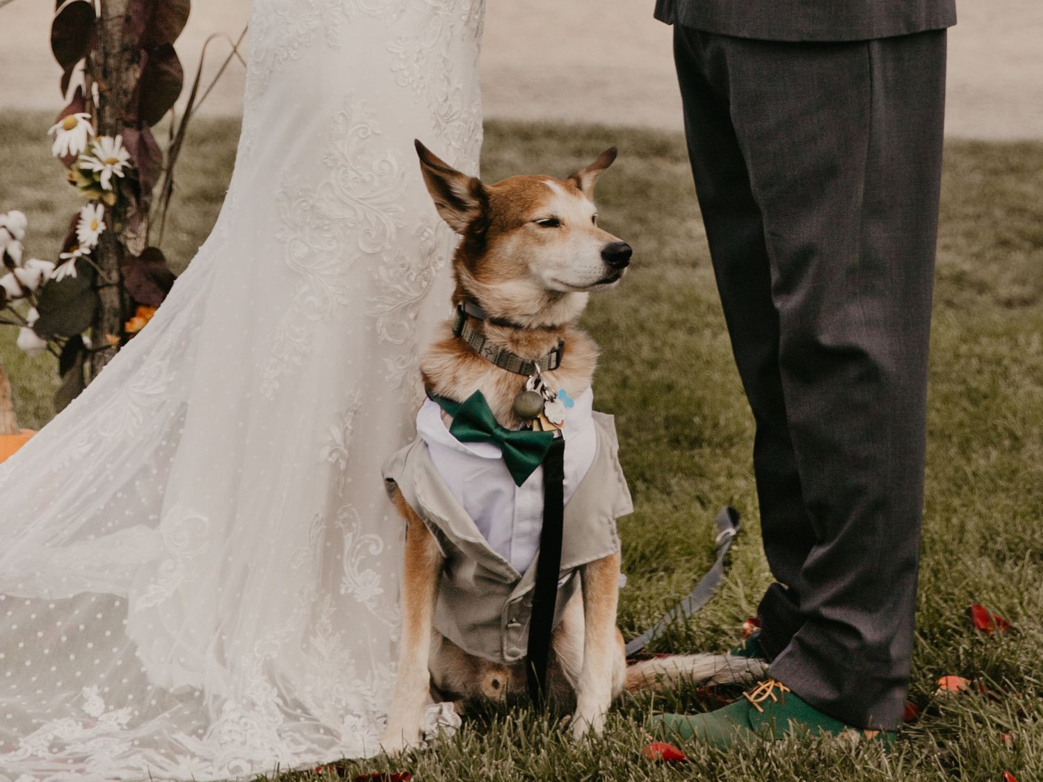wedding photographer