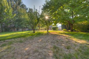 Spacious green backyard with mature trees casting sunlight across a well-maintained lawn.