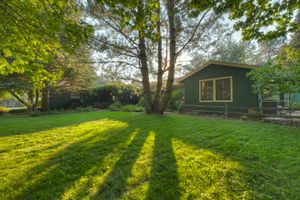 Sunlit green backyard with tall trees casting long shadows across a vibrant green lawn.