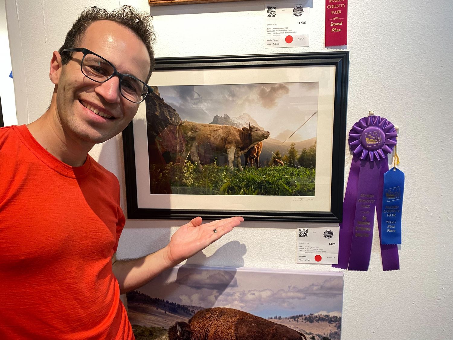 Jeff's award winning work at the Marin County Fair.
