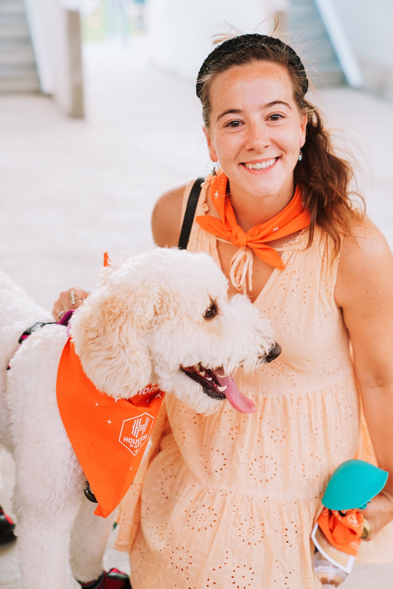 White fluffy dog playing with toys while wearing orange accessories.