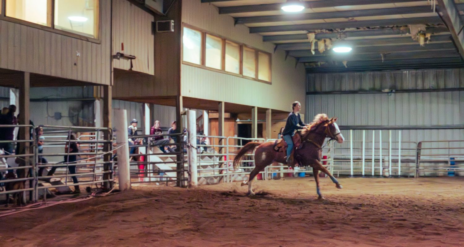 Horse running out of gate in indoor arena