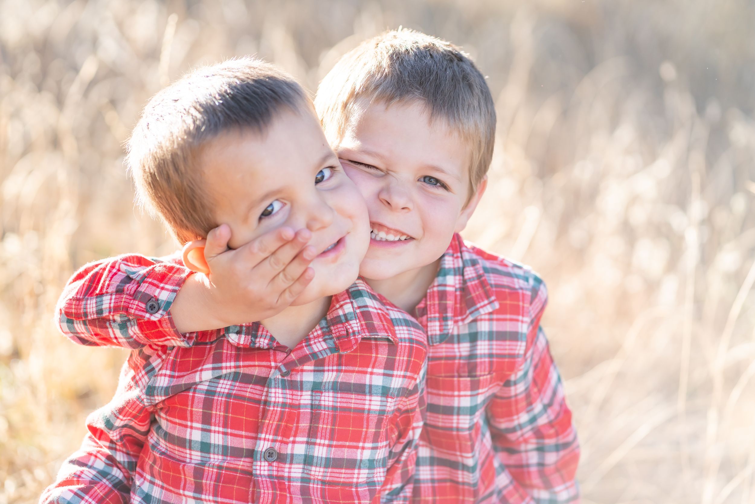 Two playful siblings in matching plaid shirts sharing a joyful moment in a sunlit field.